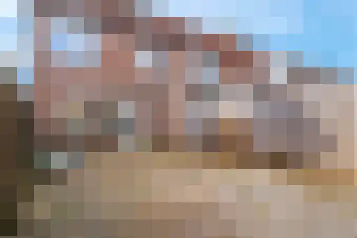 Pinksterbloem 17 Zwaag thumbnail 25
