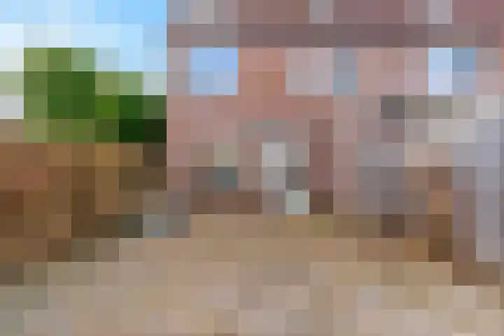 Pinksterbloem 17 Zwaag thumbnail 26
