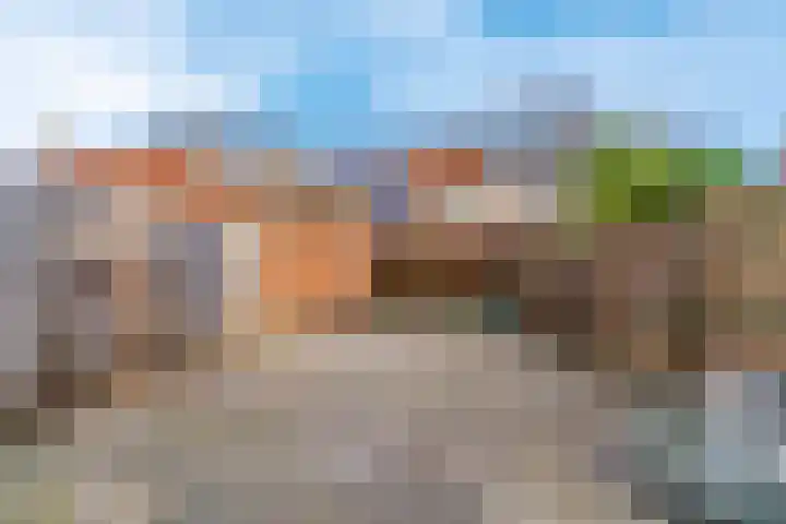 Pinksterbloem 17 Zwaag thumbnail 27
