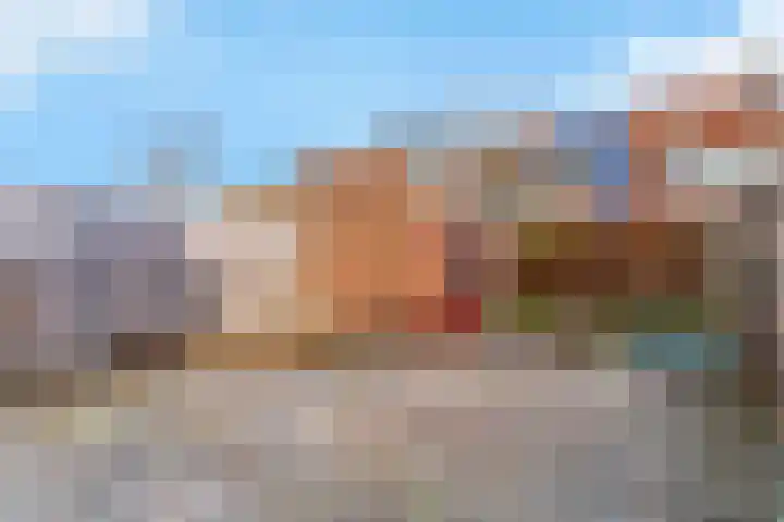 Pinksterbloem 17 Zwaag thumbnail 28