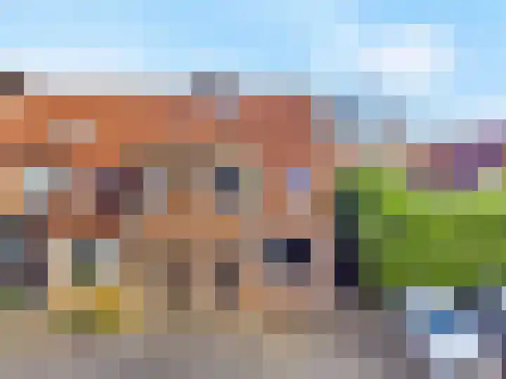 Pinksterbloem 17 Zwaag thumbnail 29