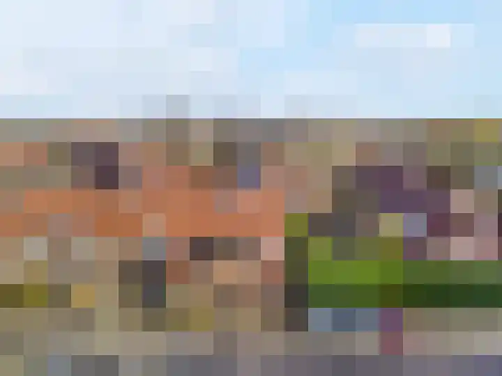 Pinksterbloem 17 Zwaag thumbnail 30