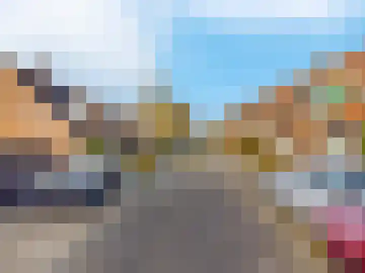 Pinksterbloem 17 Zwaag thumbnail 31