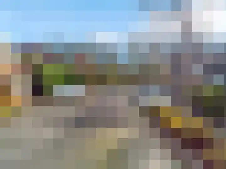 Pinksterbloem 17 Zwaag thumbnail 32