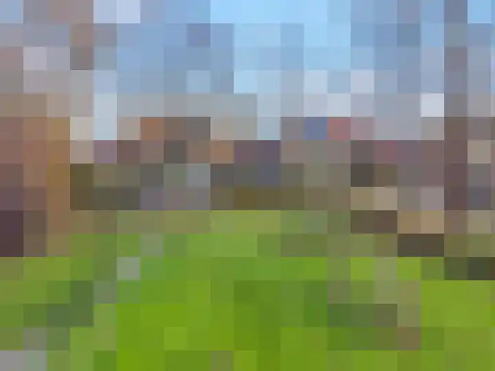 Pinksterbloem 17 Zwaag thumbnail 33