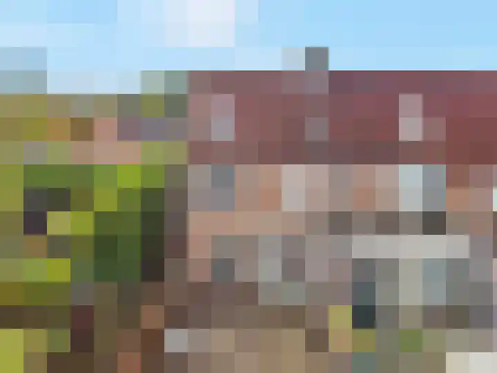 Pinksterbloem 17 Zwaag thumbnail 4
