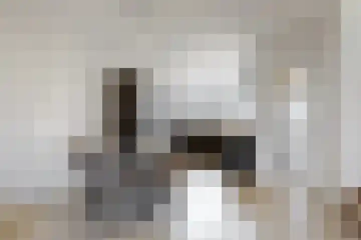 Pinksterbloem 17 Zwaag thumbnail 8