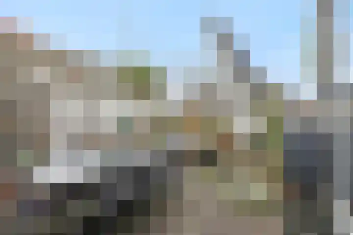 Pinksterbloem 19 Duiven thumbnail 16
