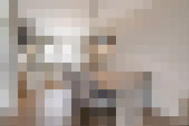 Pinksterbloem 19 Duiven thumbnail 18