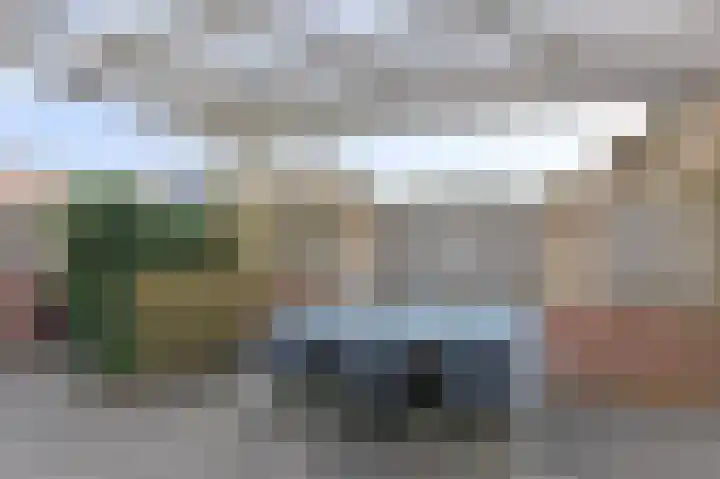 Pinksterbloem 19 Duiven thumbnail 30