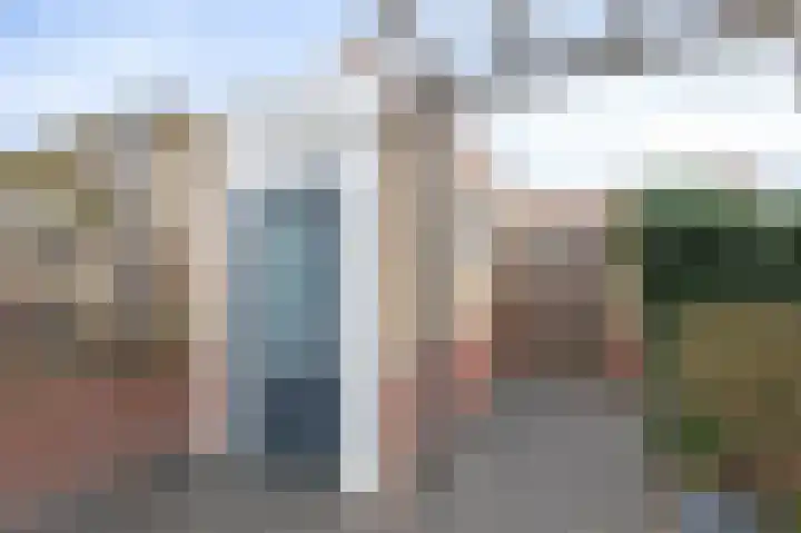 Pinksterbloem 19 Duiven thumbnail 31