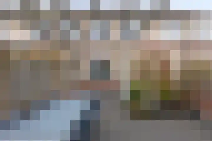 Pinksterbloem 19 Duiven thumbnail 32