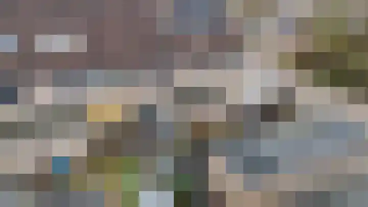 Pinksterbloem 19 Duiven thumbnail 33