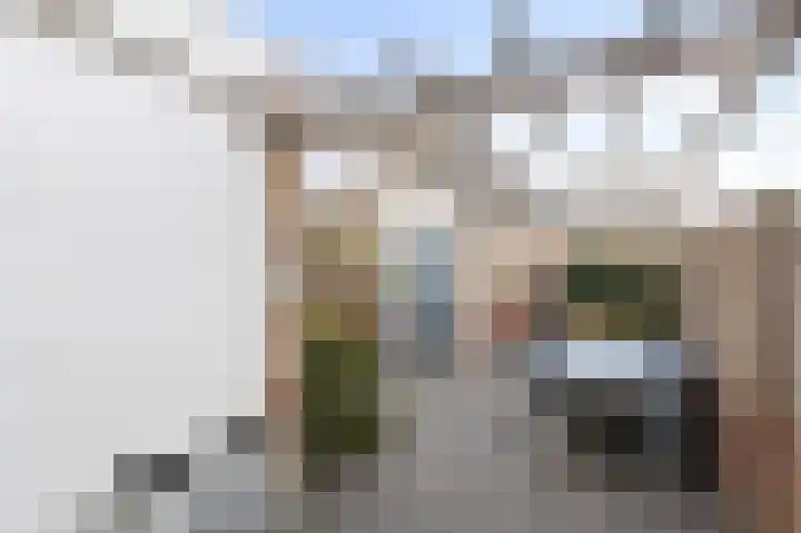 Pinksterbloem 19 Duiven thumbnail 4