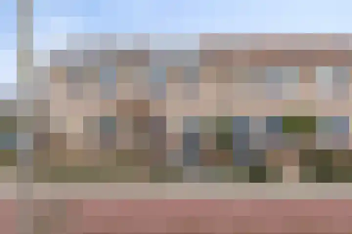 Pinksterbloem 19 Duiven thumbnail 52