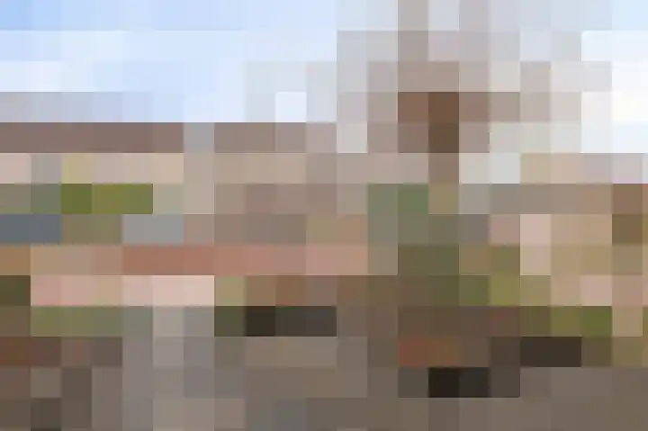 Pinksterbloem 19 Duiven thumbnail 53