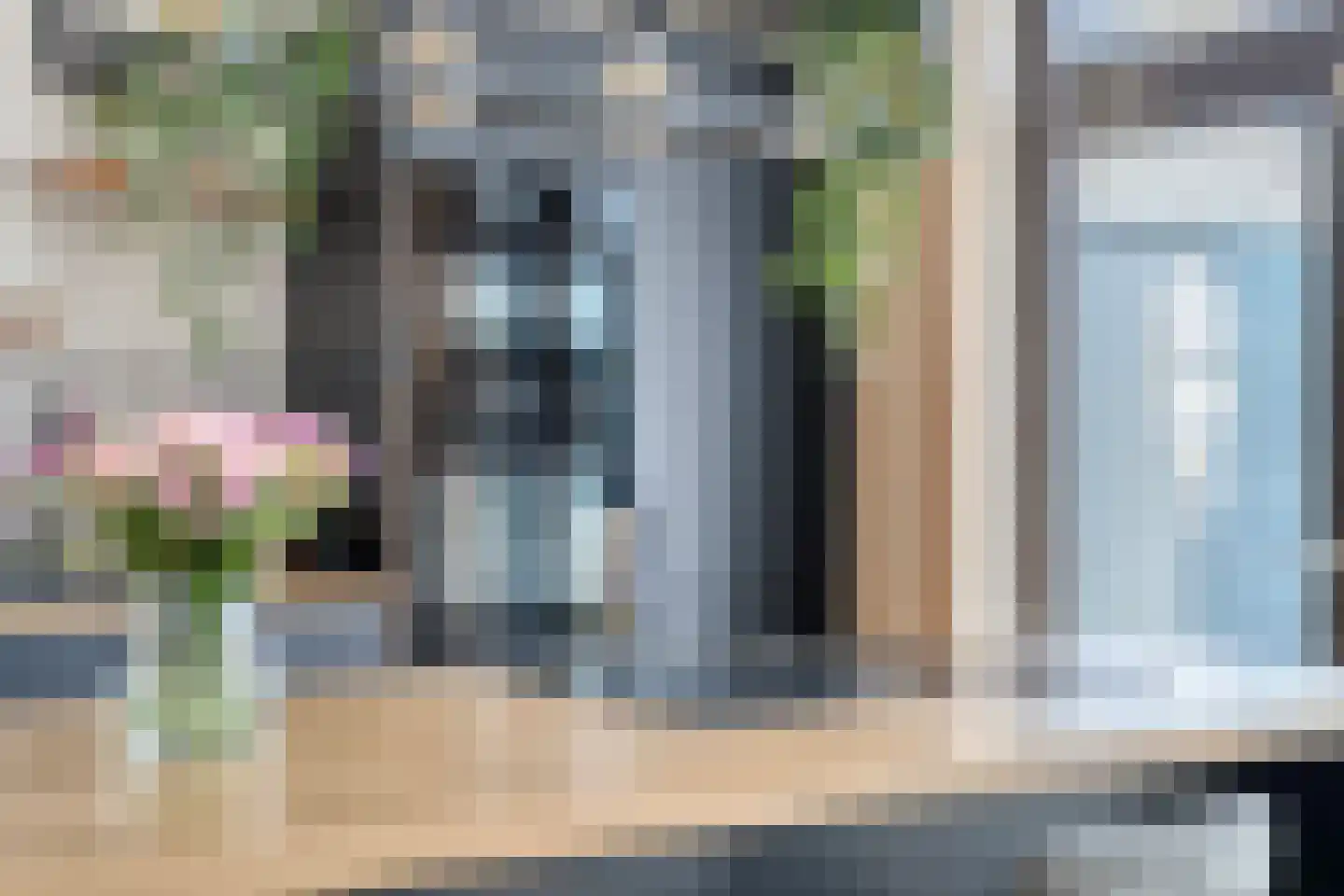 Pinksterbloem 2 Brunssum thumbnail 14