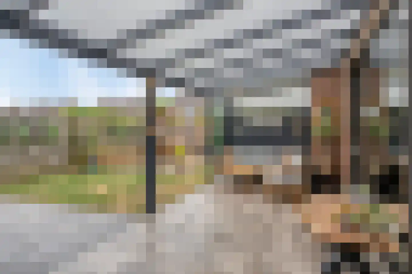 Pinksterbloem 2 Brunssum thumbnail 32