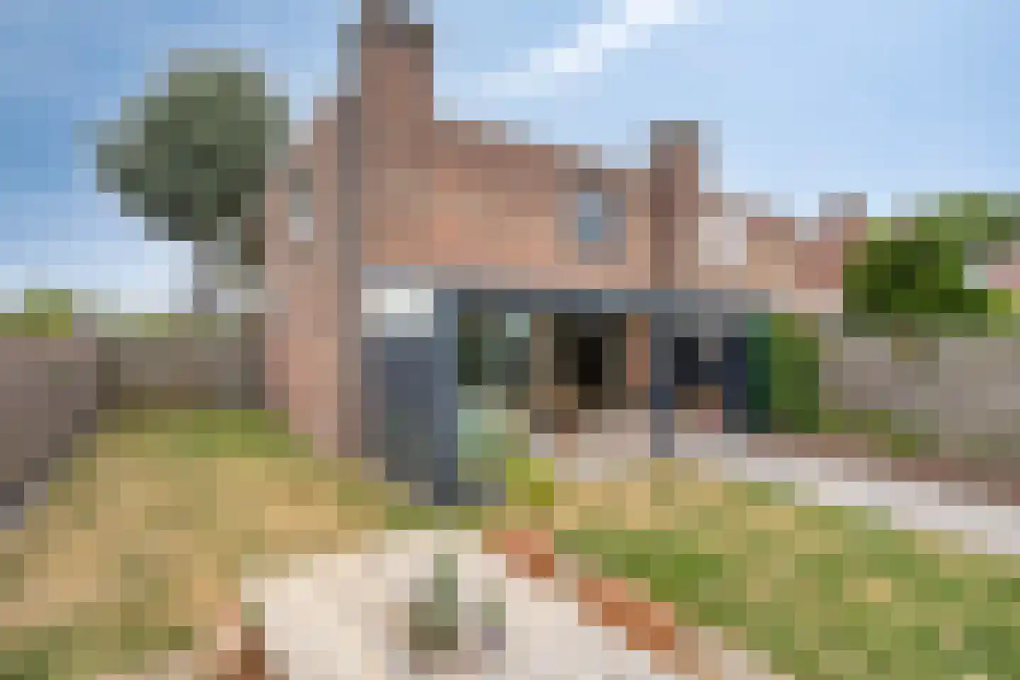 Pinksterbloem 2 Brunssum thumbnail 34