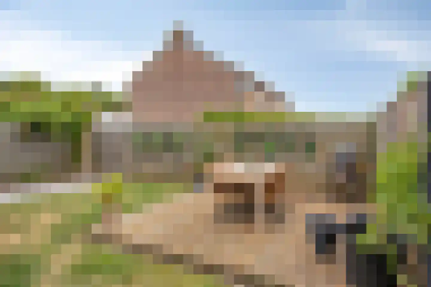 Pinksterbloem 2 Brunssum thumbnail 35