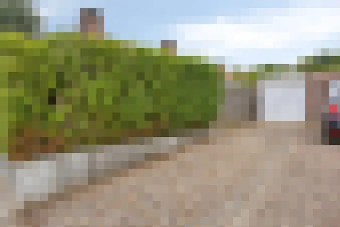 Pinksterbloem 2 Brunssum thumbnail 37