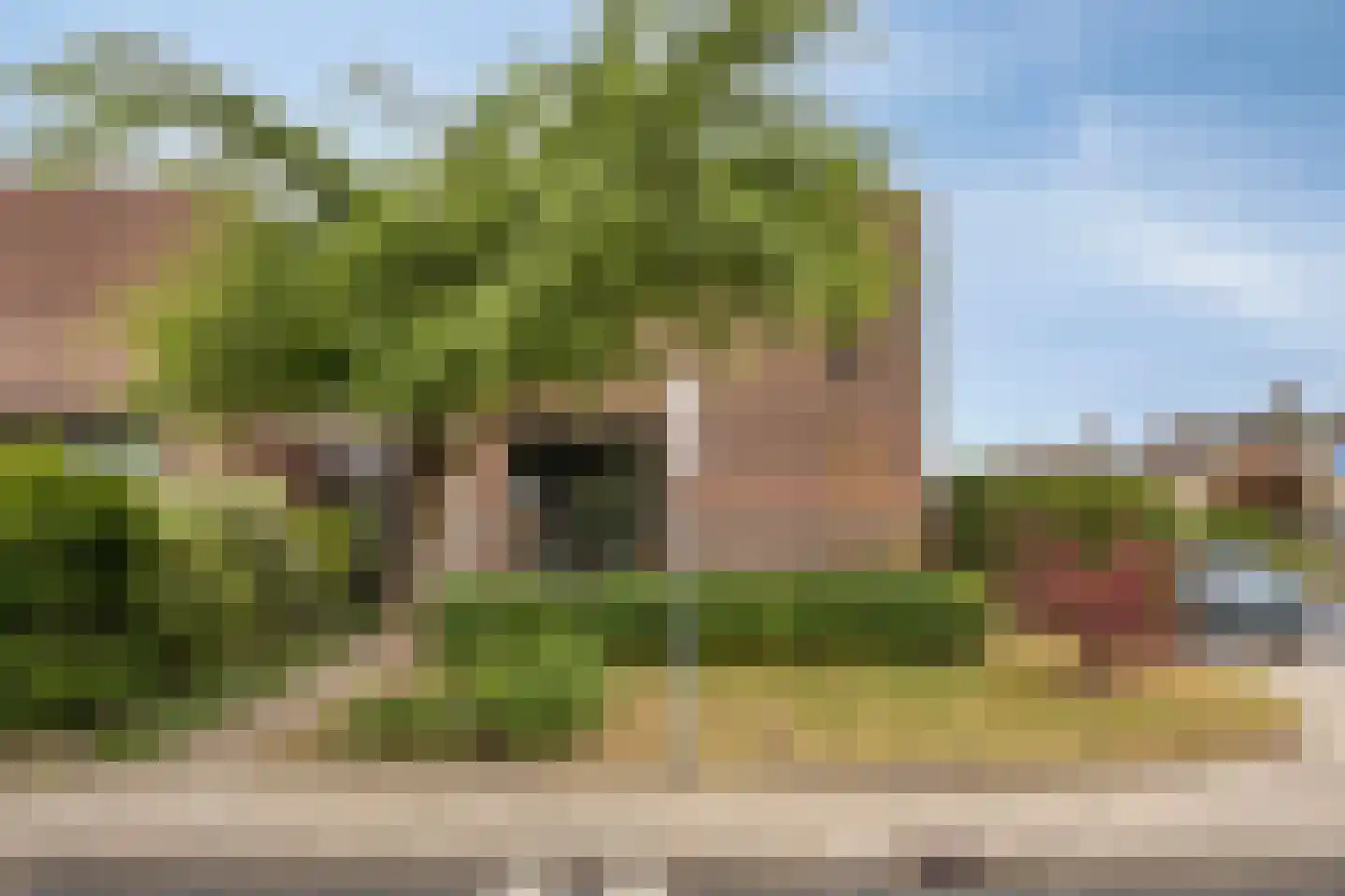 Pinksterbloem 2 Brunssum thumbnail 40
