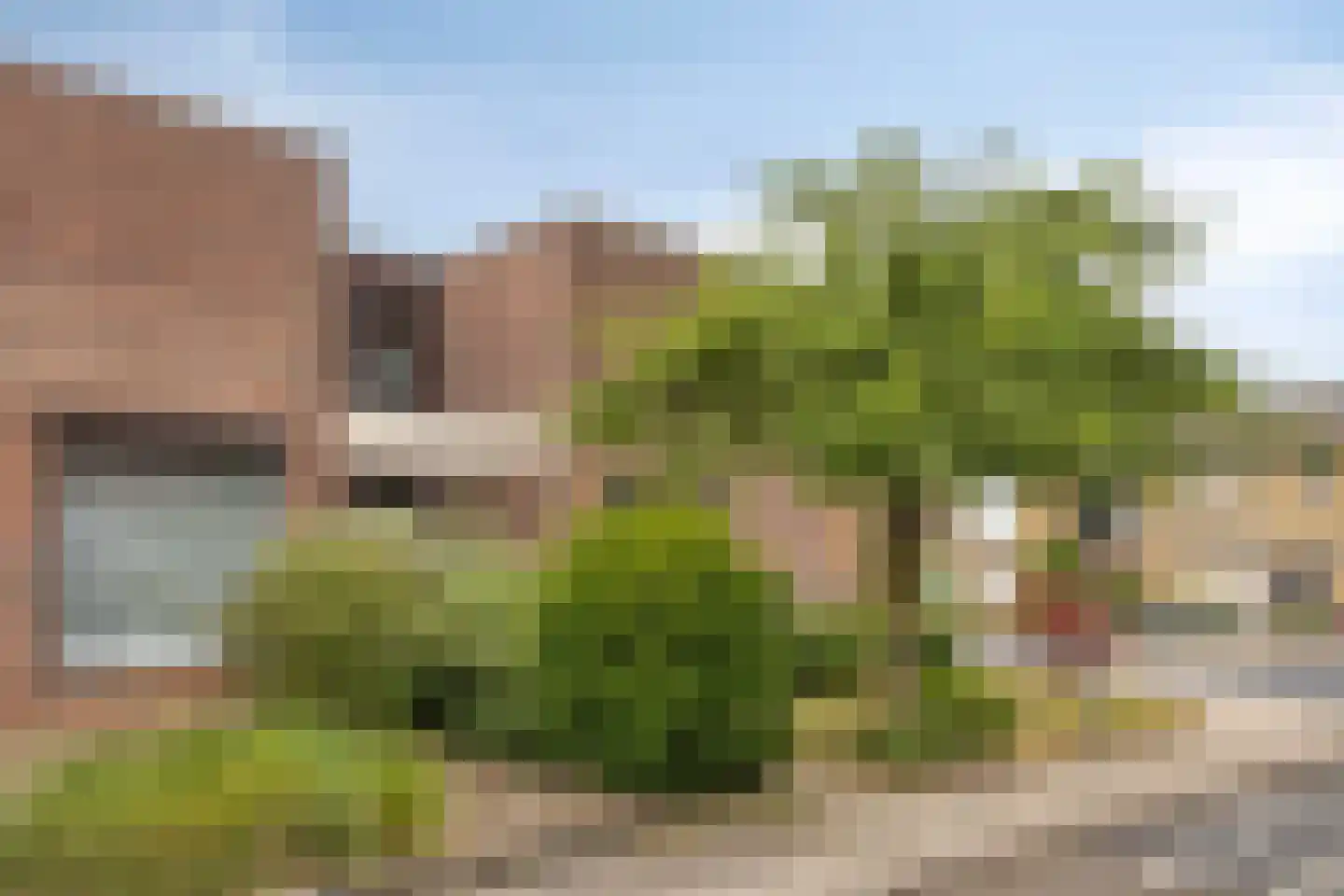 Pinksterbloem 2 Brunssum thumbnail 41