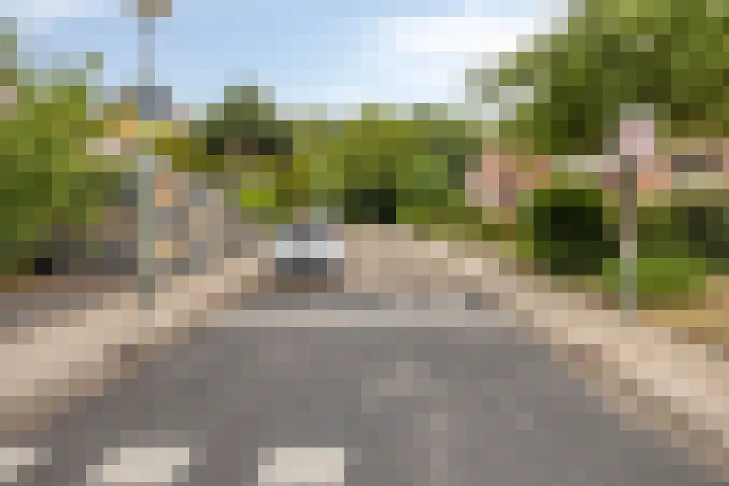 Pinksterbloem 2 Brunssum thumbnail 42