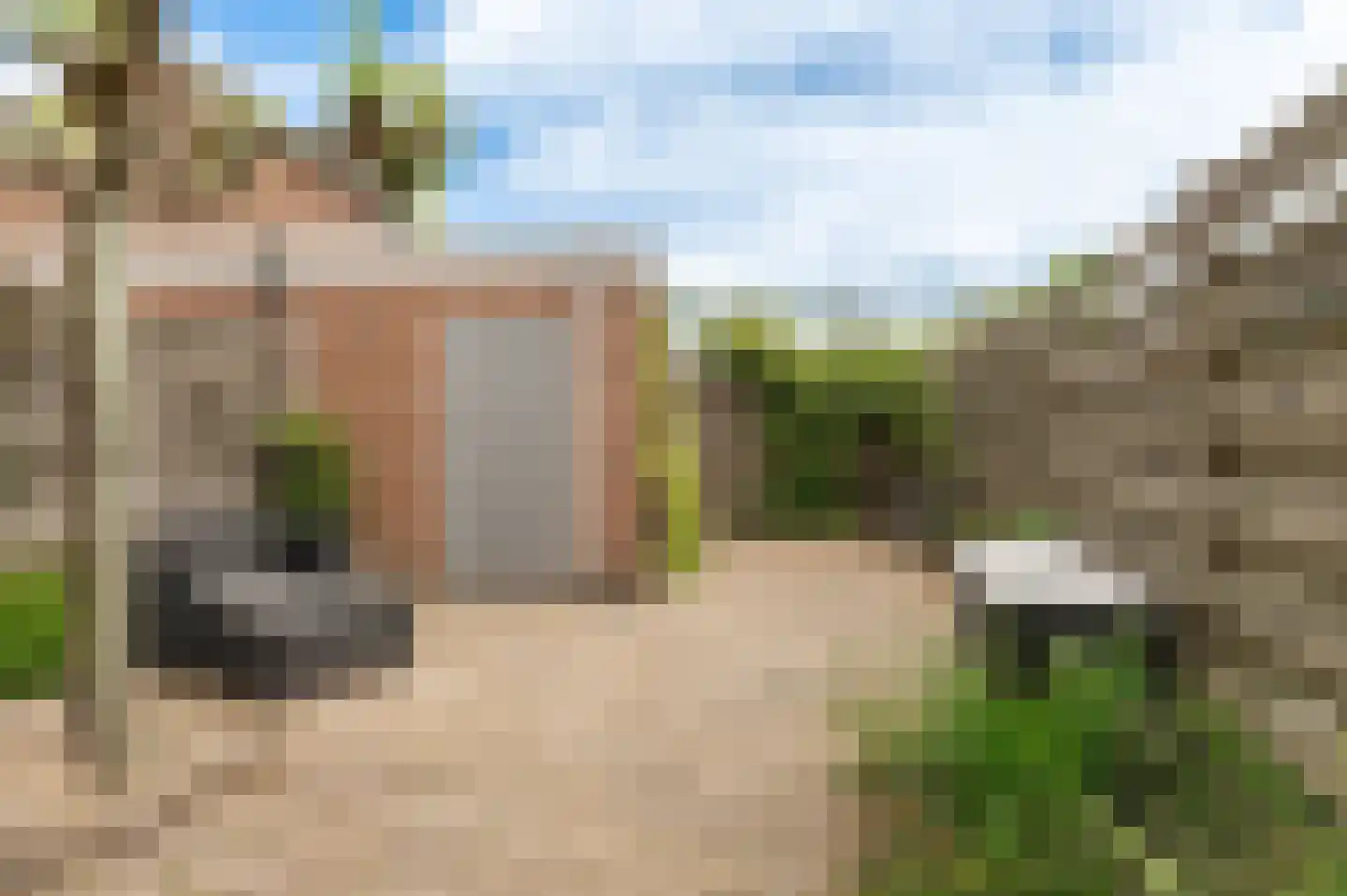 Pinksterbloem 2 Culemborg thumbnail 14