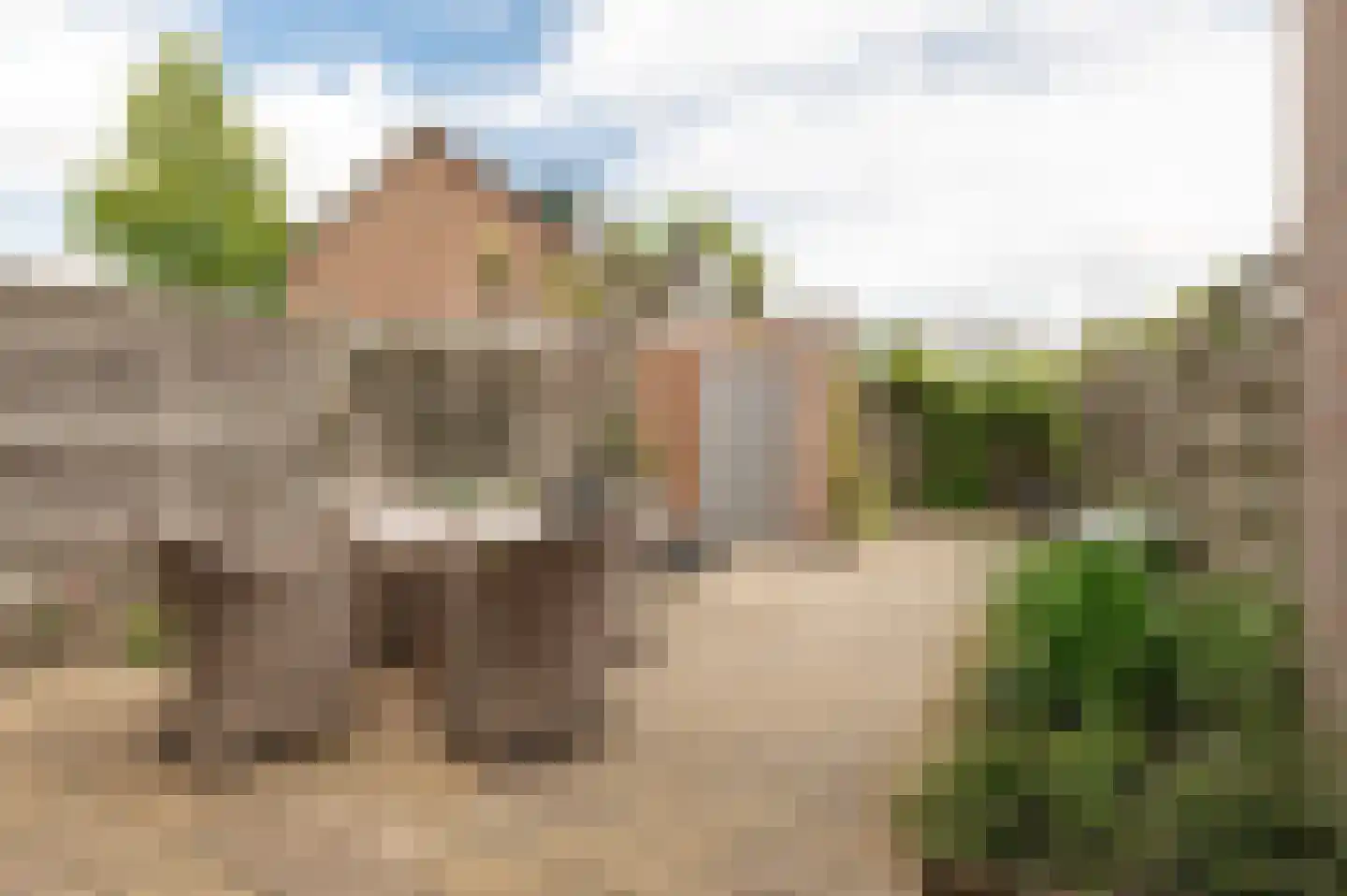 Pinksterbloem 2 Culemborg thumbnail 15
