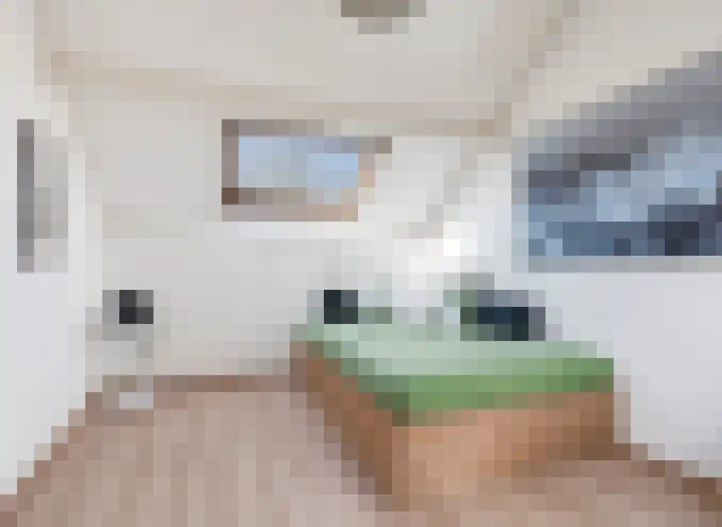 Pinksterbloem 2 Culemborg thumbnail 27