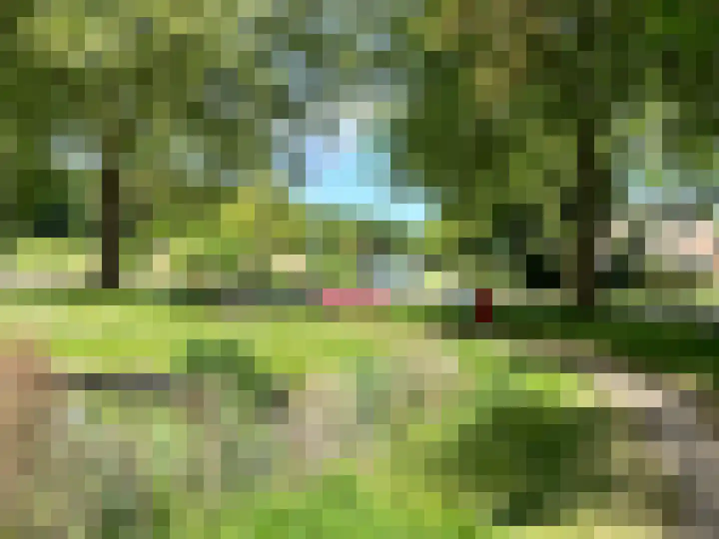 Pinksterbloem 2 Culemborg thumbnail 29