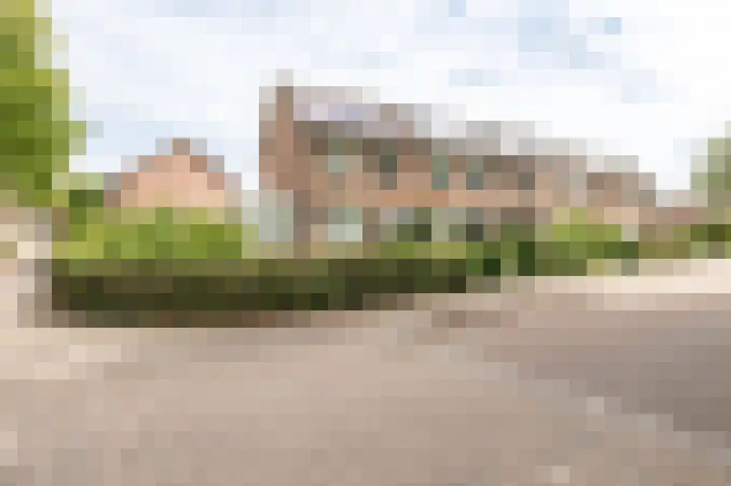 Pinksterbloem 2 Culemborg thumbnail 32