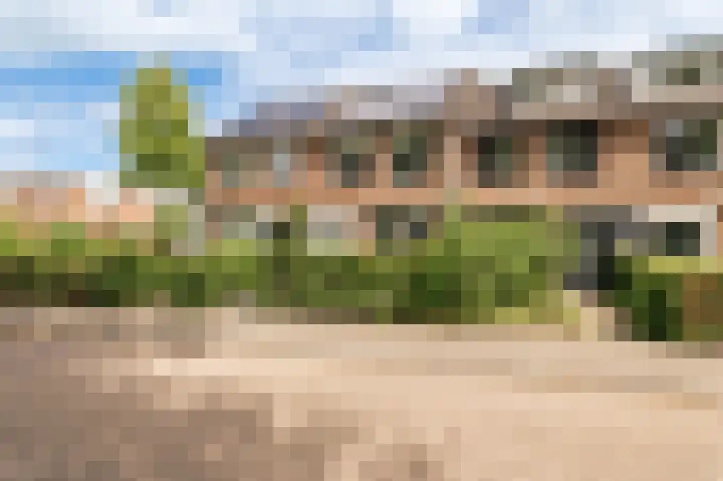 Pinksterbloem 2 Culemborg thumbnail 33