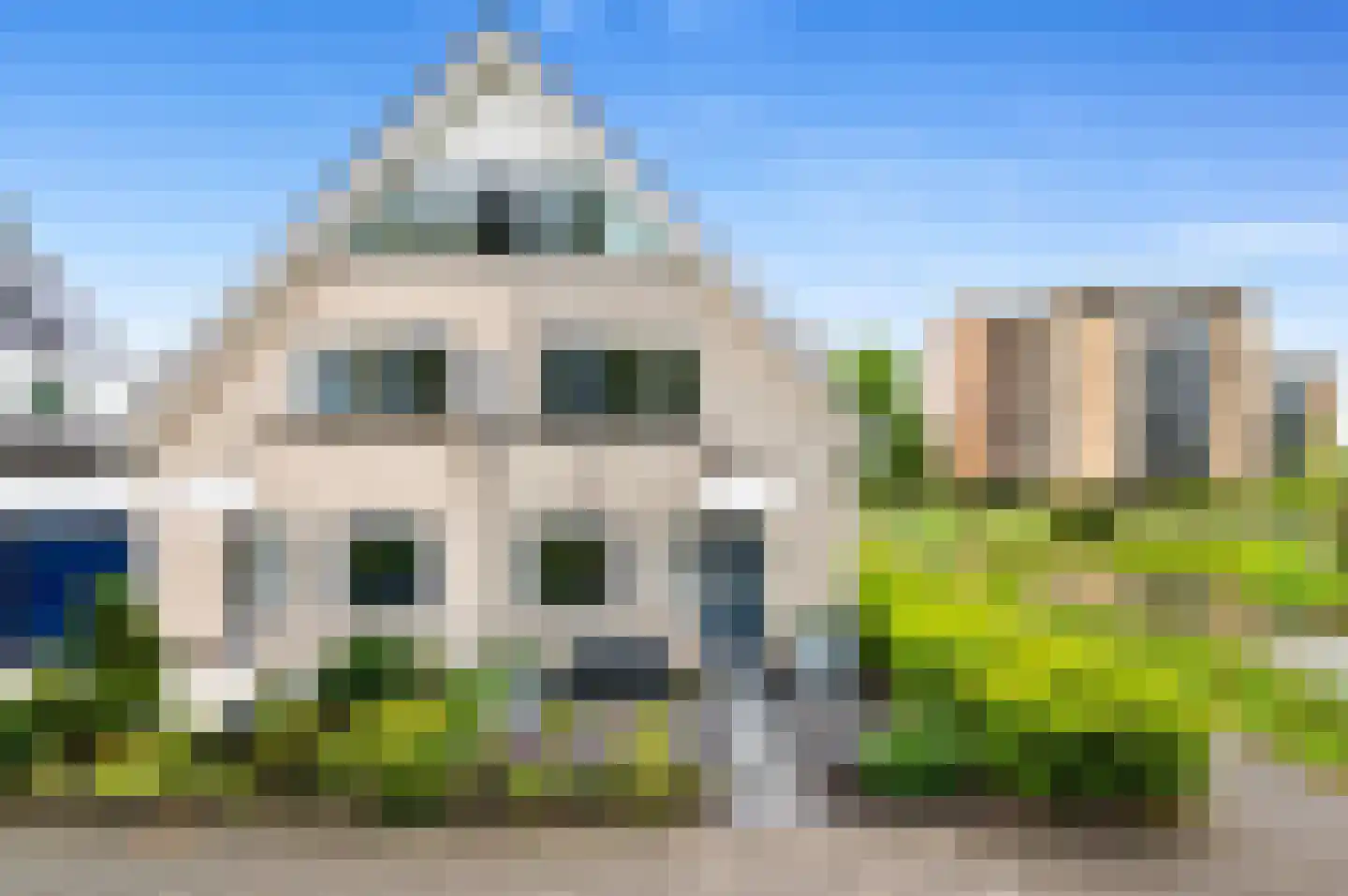 Pinksterbloem 2 Den Hoorn
