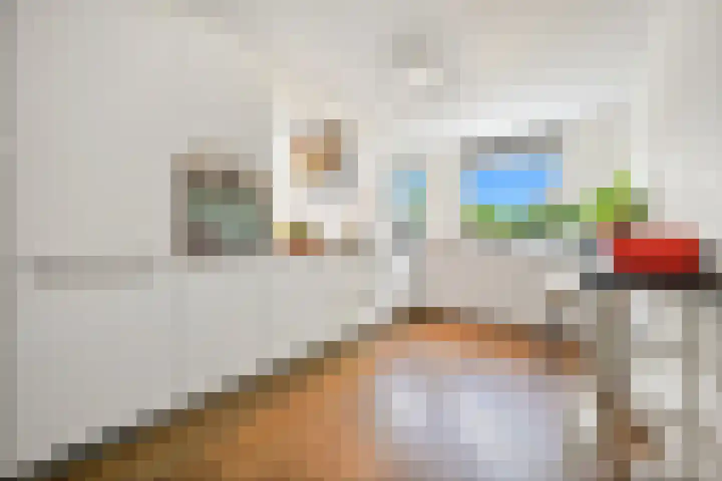 Pinksterbloem 2 Den Hoorn thumbnail 15