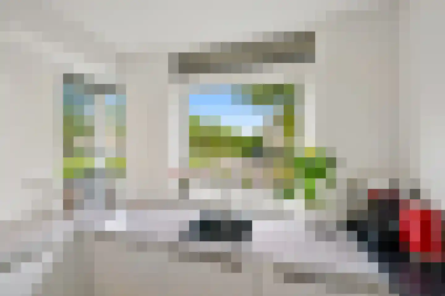 Pinksterbloem 2 Den Hoorn thumbnail 20