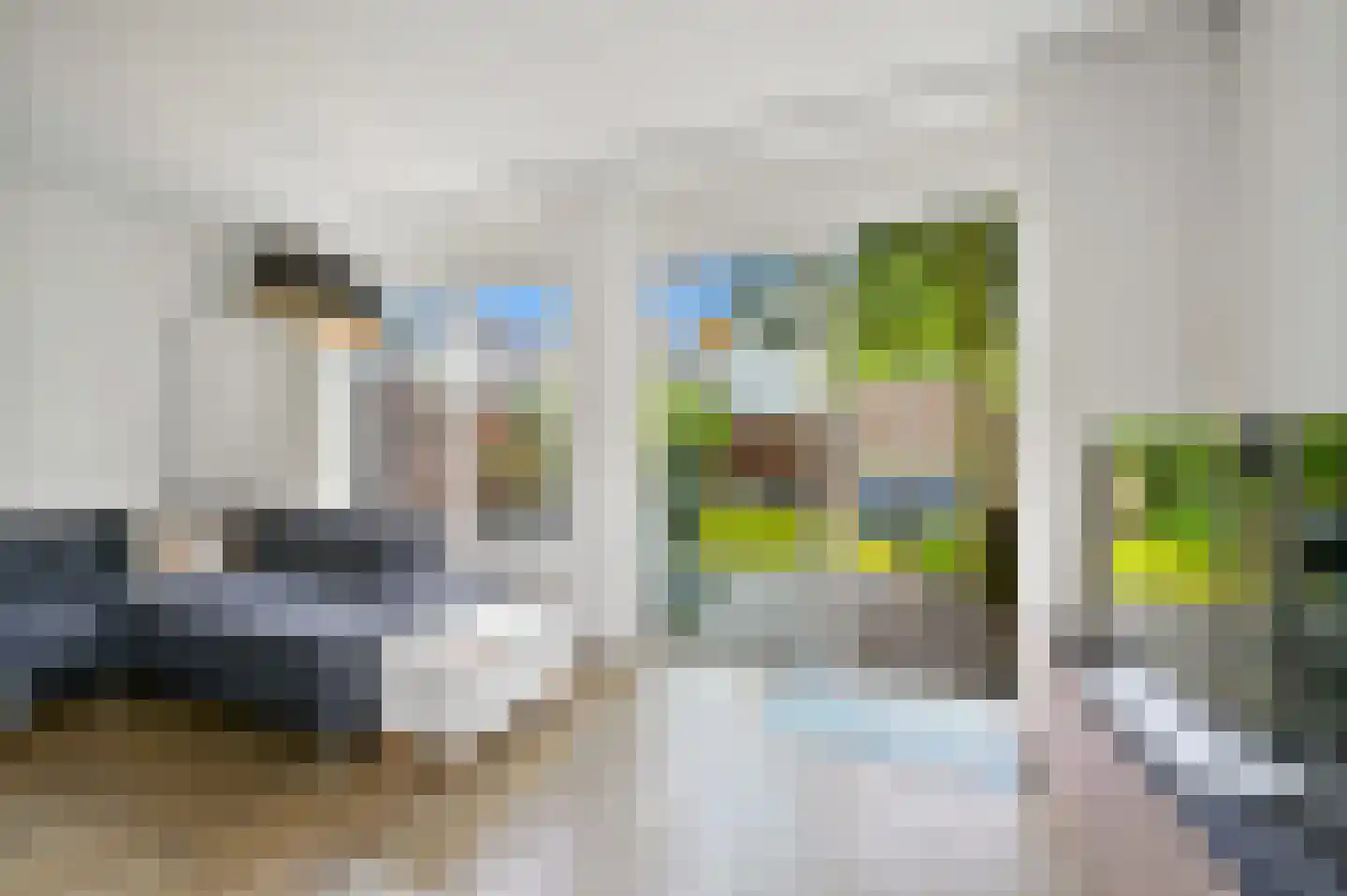 Pinksterbloem 2 Den Hoorn thumbnail 21