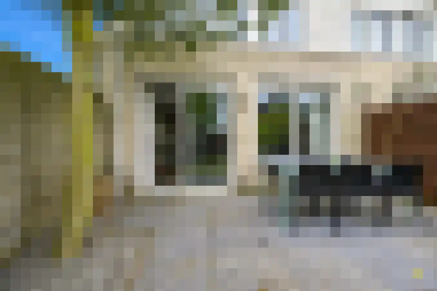 Pinksterbloem 2 Den Hoorn thumbnail 22