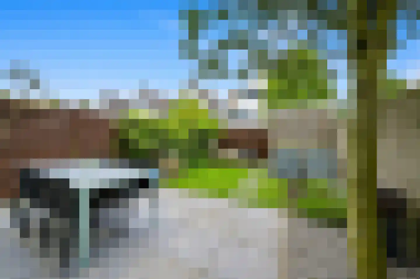 Pinksterbloem 2 Den Hoorn thumbnail 23