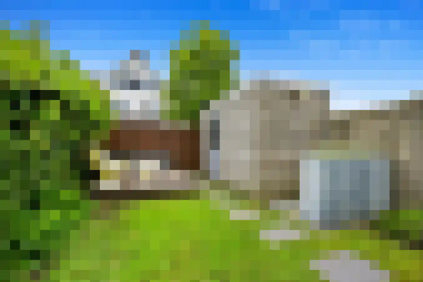 Pinksterbloem 2 Den Hoorn thumbnail 28