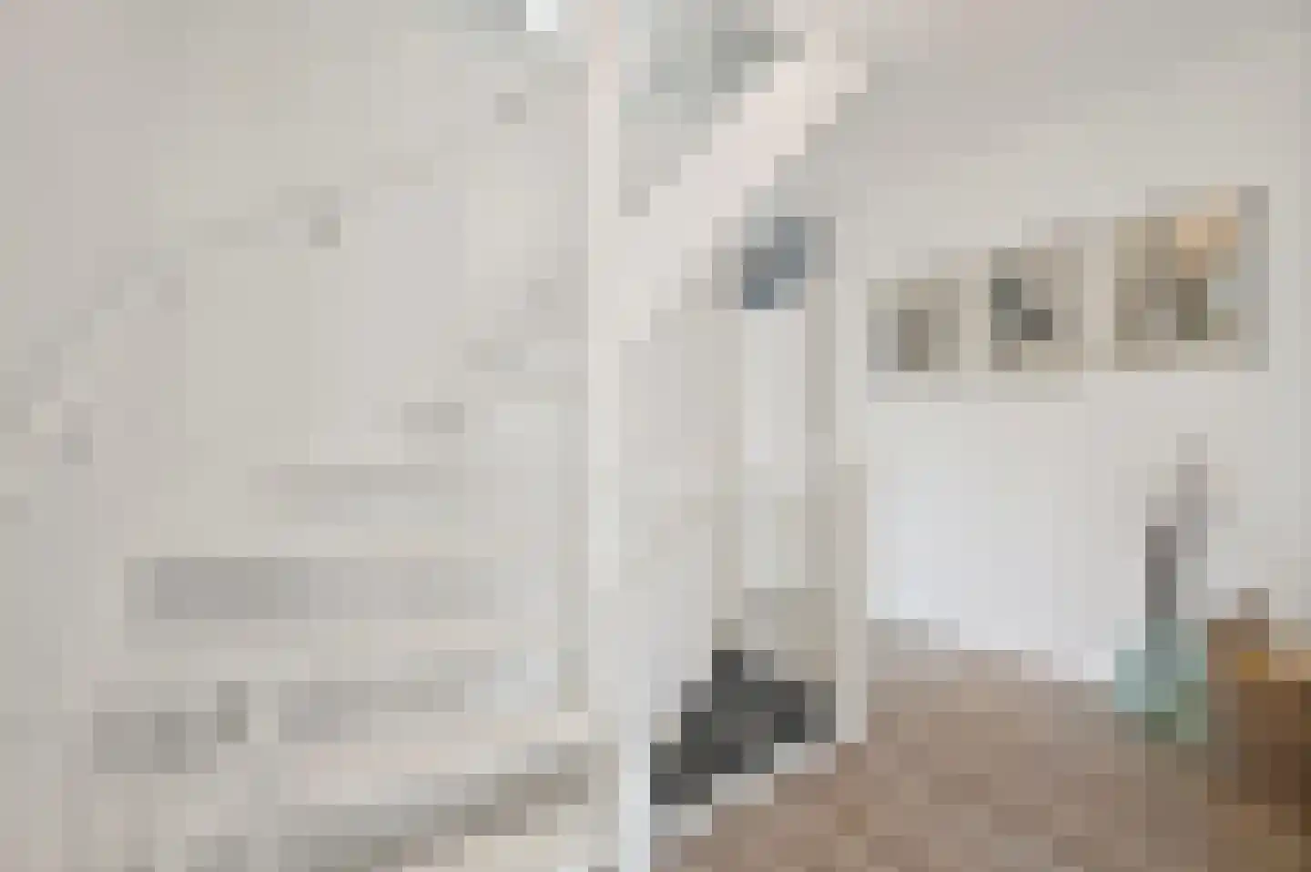 Pinksterbloem 2 Den Hoorn thumbnail 34