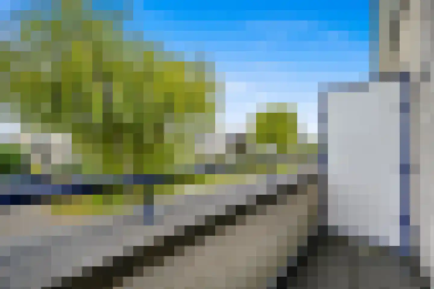 Pinksterbloem 2 Den Hoorn thumbnail 38