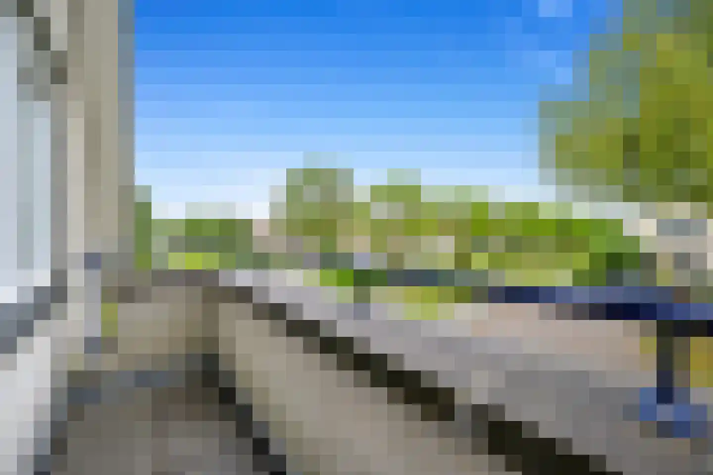 Pinksterbloem 2 Den Hoorn thumbnail 39