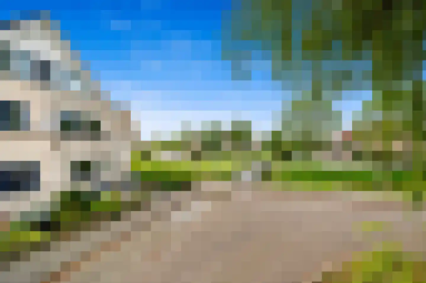 Pinksterbloem 2 Den Hoorn thumbnail 4