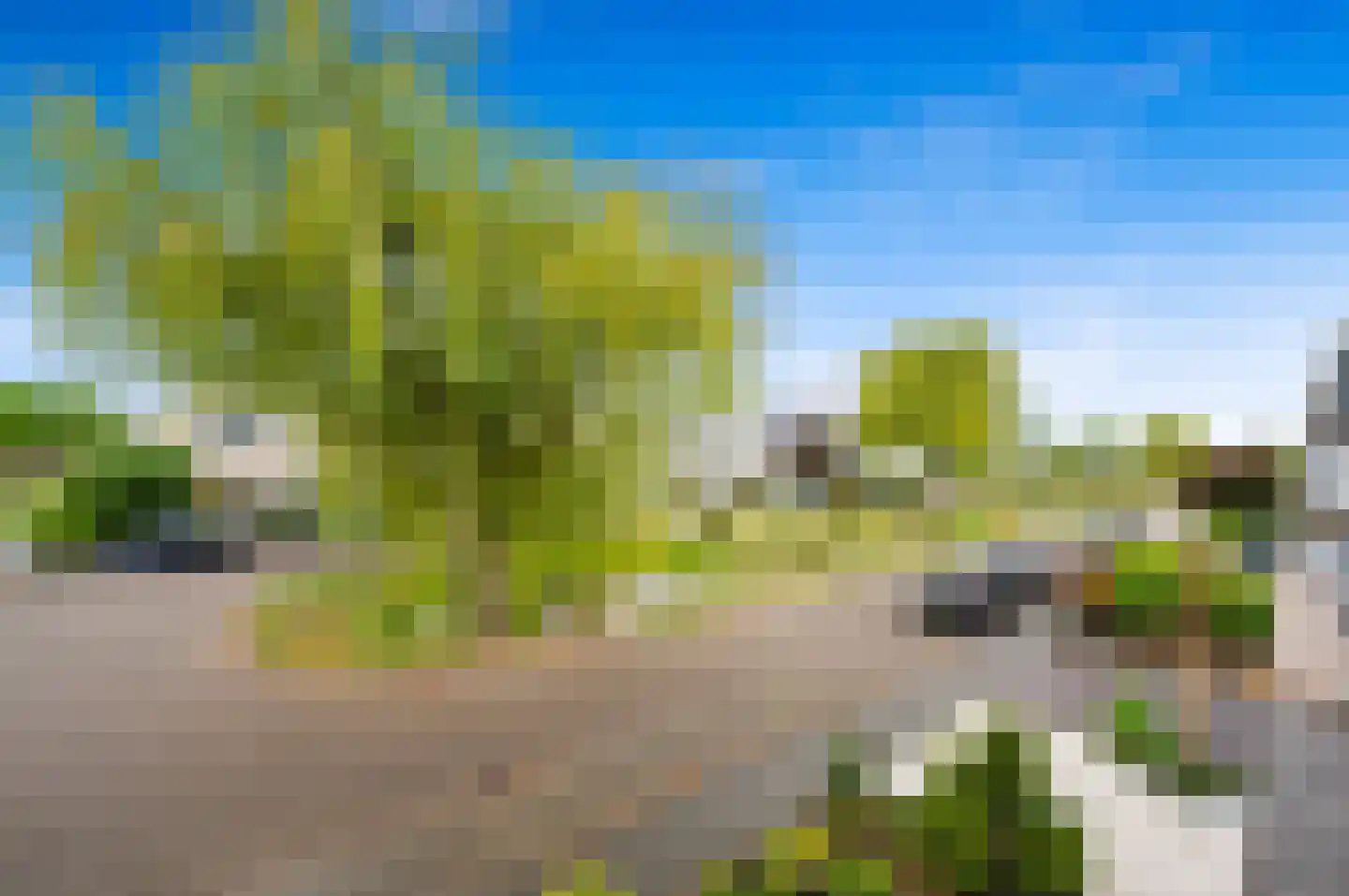 Pinksterbloem 2 Den Hoorn thumbnail 40