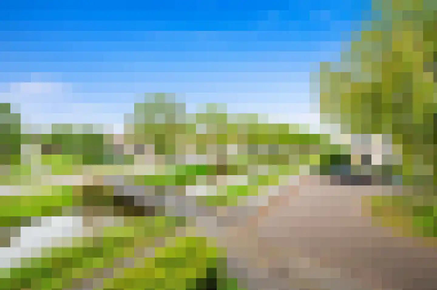 Pinksterbloem 2 Den Hoorn thumbnail 41