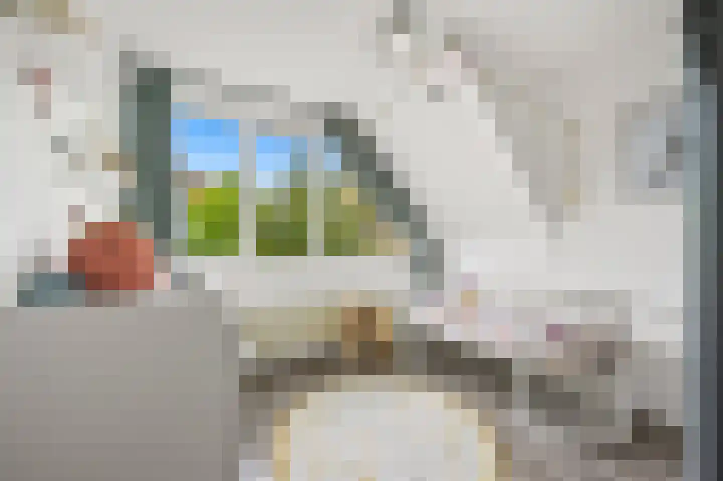 Pinksterbloem 2 Den Hoorn thumbnail 45