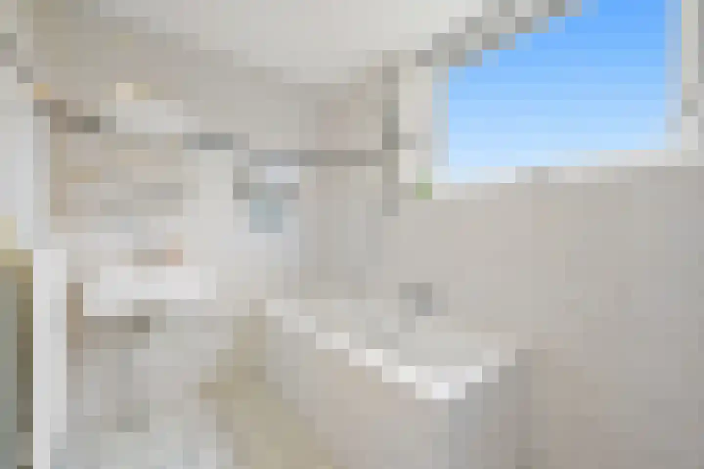 Pinksterbloem 2 Den Hoorn thumbnail 49