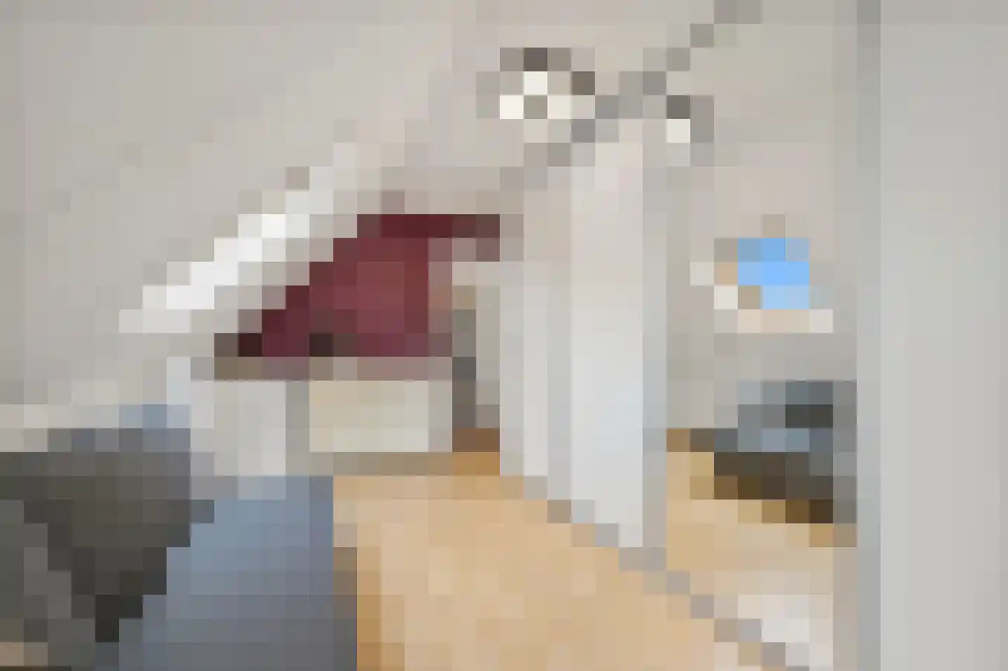 Pinksterbloem 2 Den Hoorn thumbnail 57